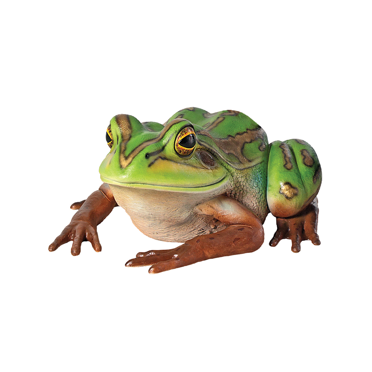 Image Thumbnail for Pine Barrens Giant Tree Frog                  